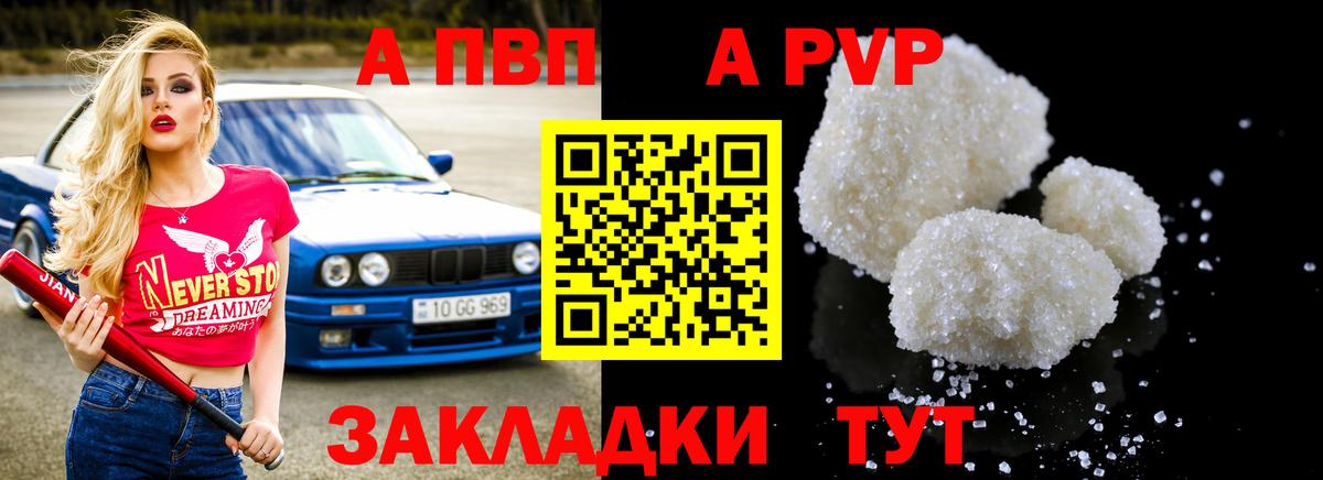 A PVP СК КРИС  Вход с VPN  сколько стоит  Альфа ПВП  Элиста  APVP СК 