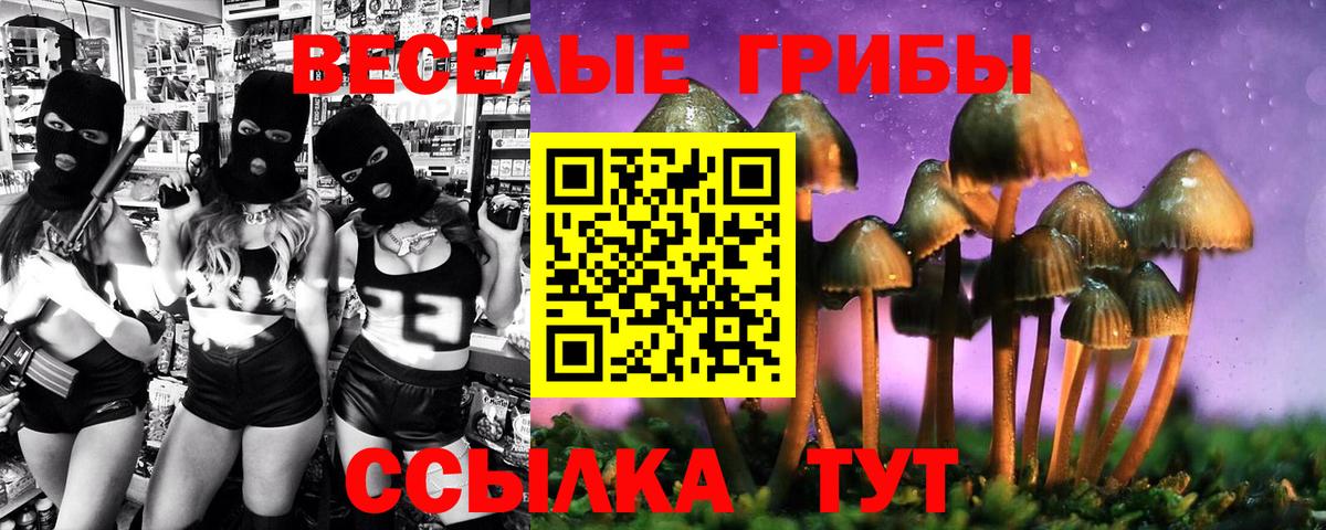 Галлюциногенные грибы Psilocybe  Галлюциногенные грибы Psilocybe  Элиста  Вход с VPN 